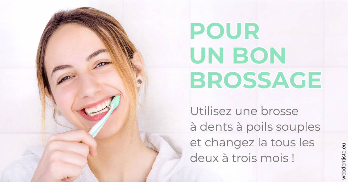 https://dr-bealem-borris.chirurgiens-dentistes.fr/Pour un bon brossage 2
