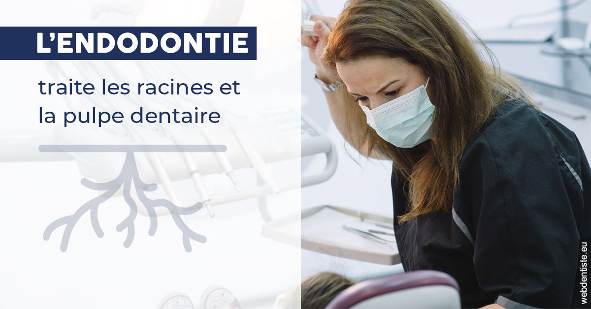 https://dr-bealem-borris.chirurgiens-dentistes.fr/L'endodontie 1