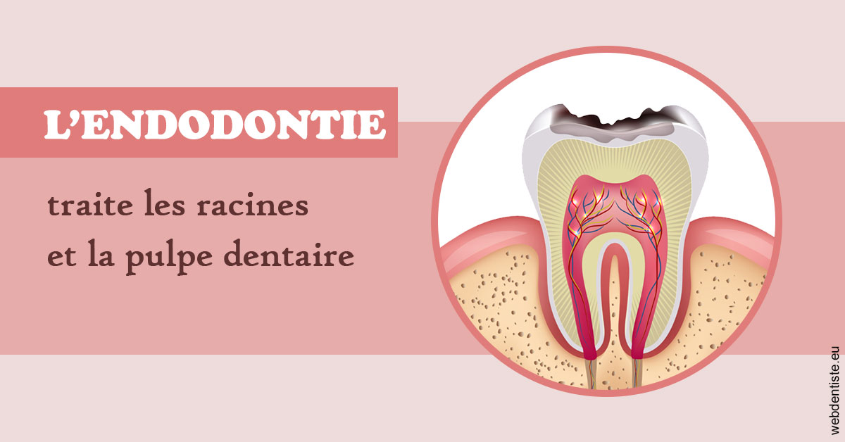 https://dr-bealem-borris.chirurgiens-dentistes.fr/L'endodontie 2