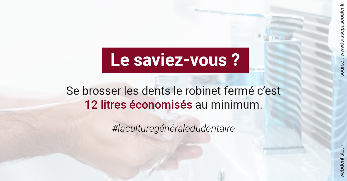 https://dr-bealem-borris.chirurgiens-dentistes.fr/Economies d'eau 2